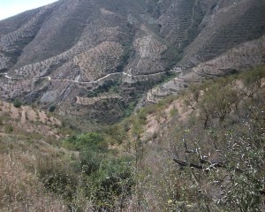 Vista general del acondicionado Camino Rural que permite el acceso al núcleo de los Gálvez, perteneciente al municipio de Rubite en Granada,  lo que mejora de forma sustancial la accesibilidad al mencionado enclave.